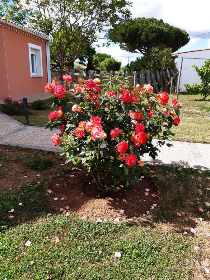 Appartement Independant A 10Min Des Plages Au Calme Proche O'Gliss Et O'Funparken Campagne La Jonchere Экстерьер фото